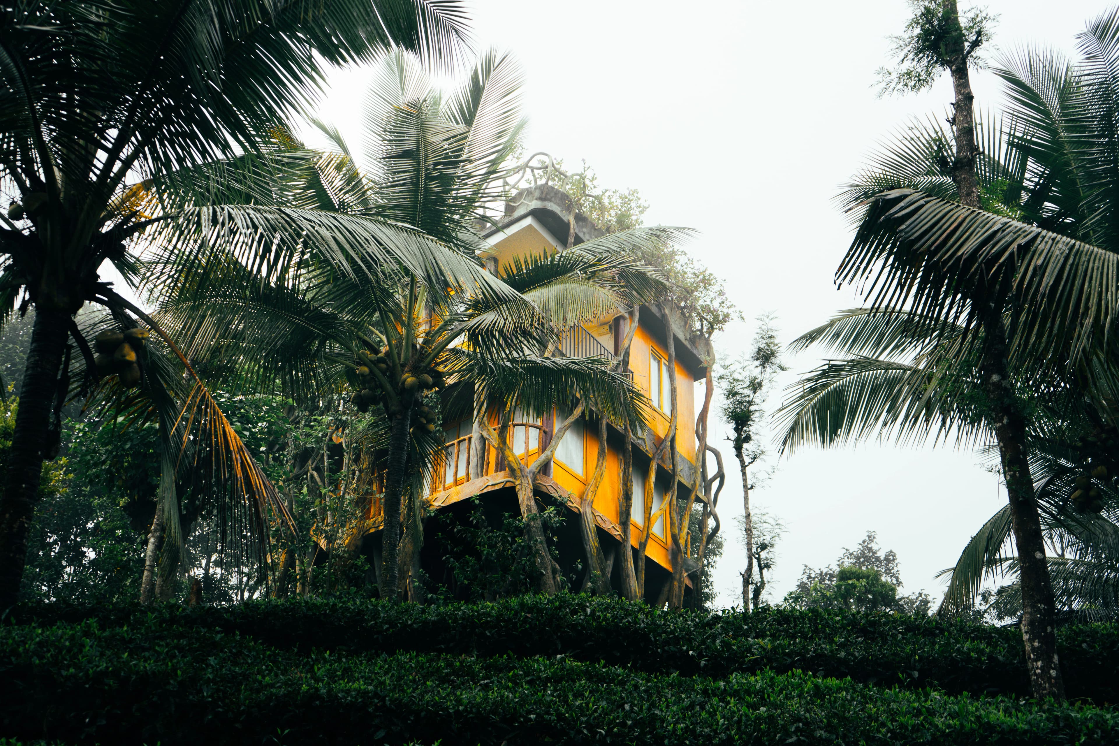 Whispering Bamboo Treehouse