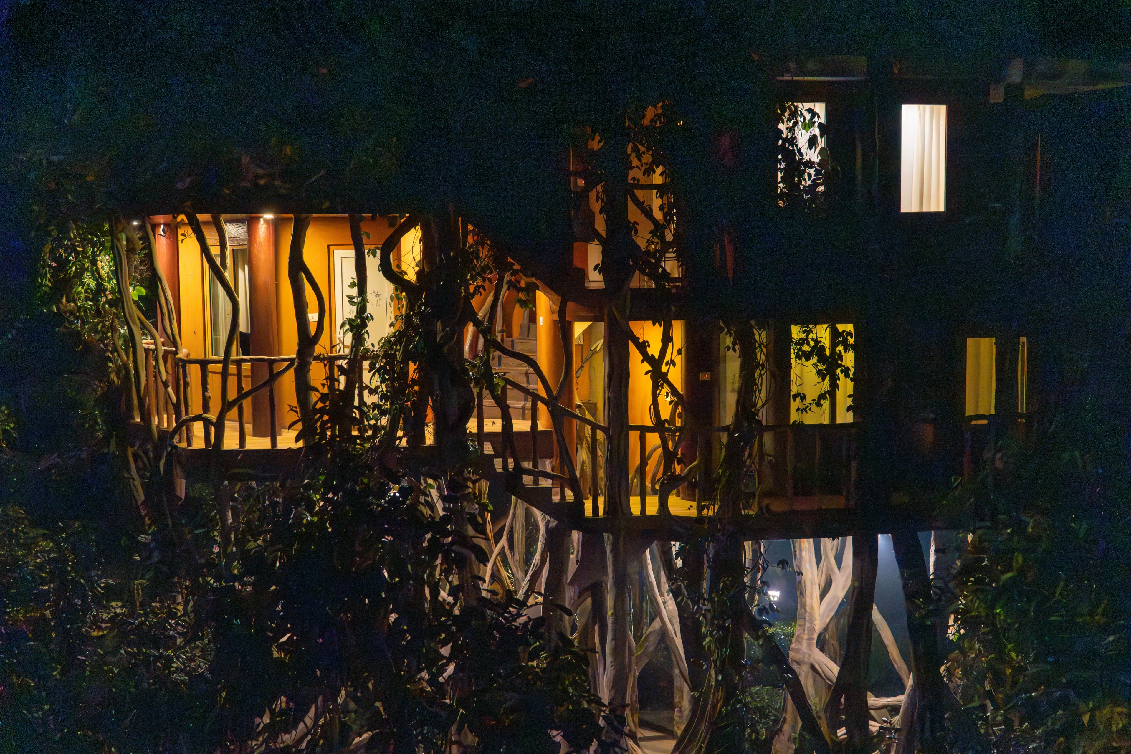 Tree Hut