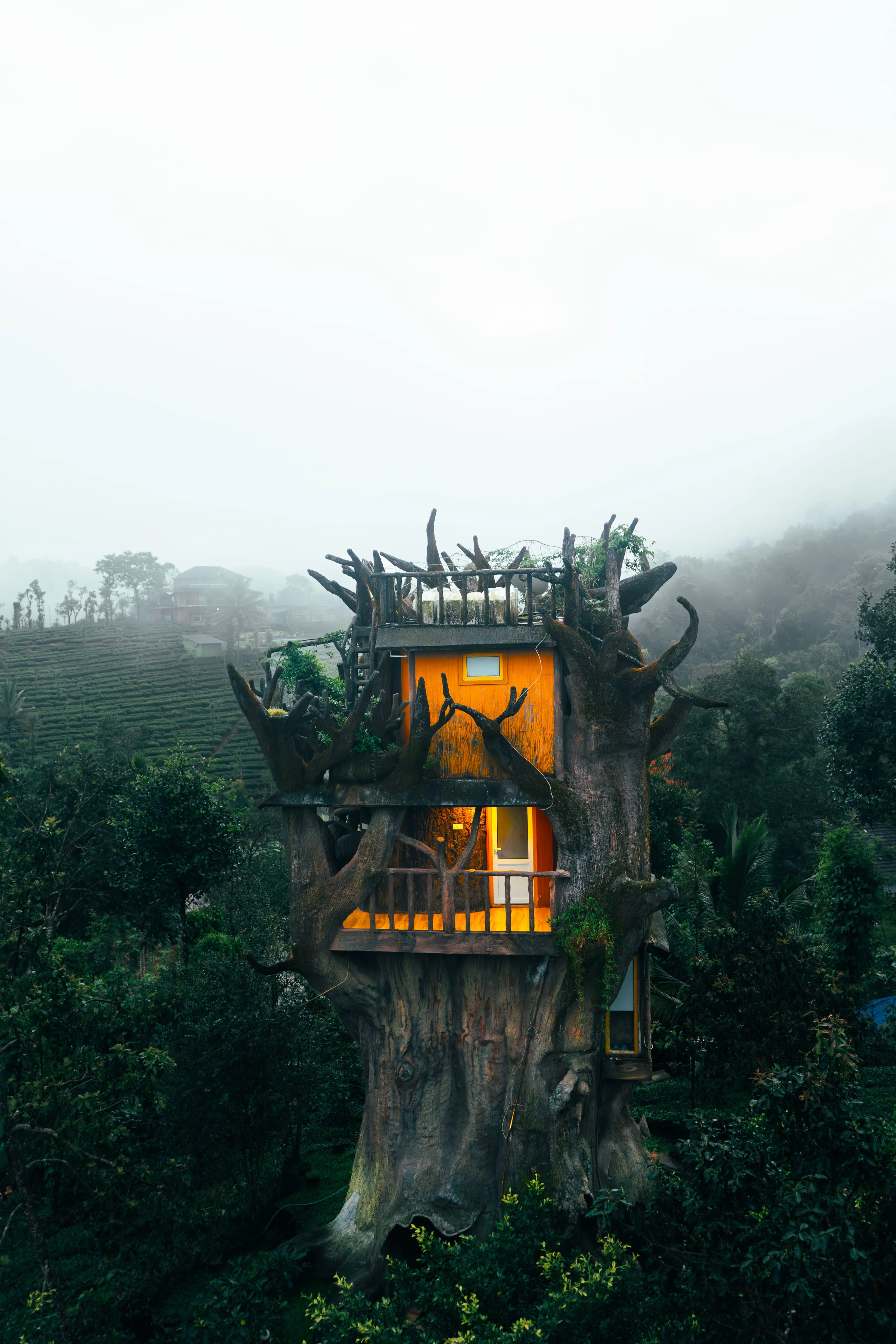 Misty Treehouse High Canopy